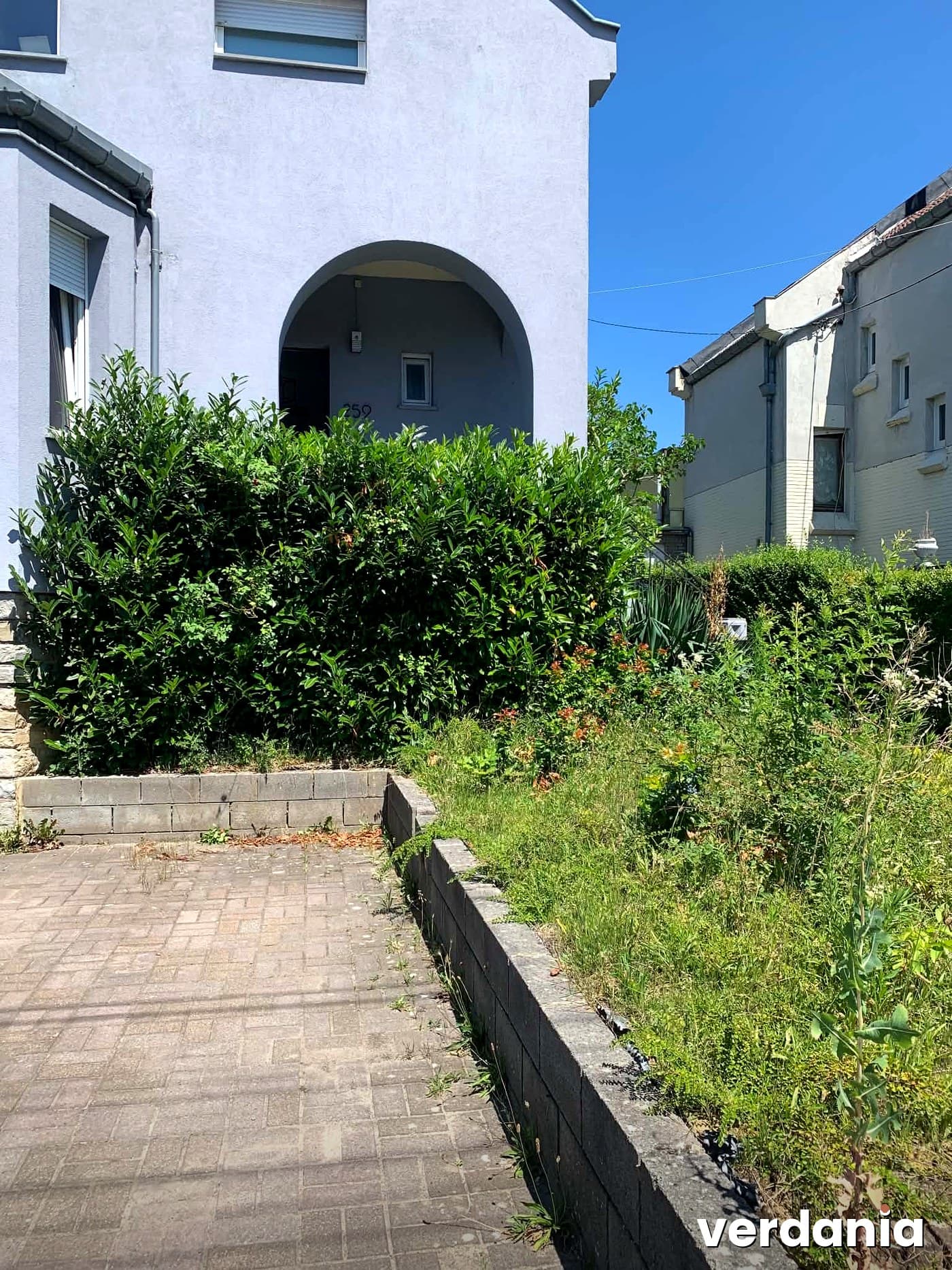 Haie débordante avant taille, jardin à Grâce-Hollogne