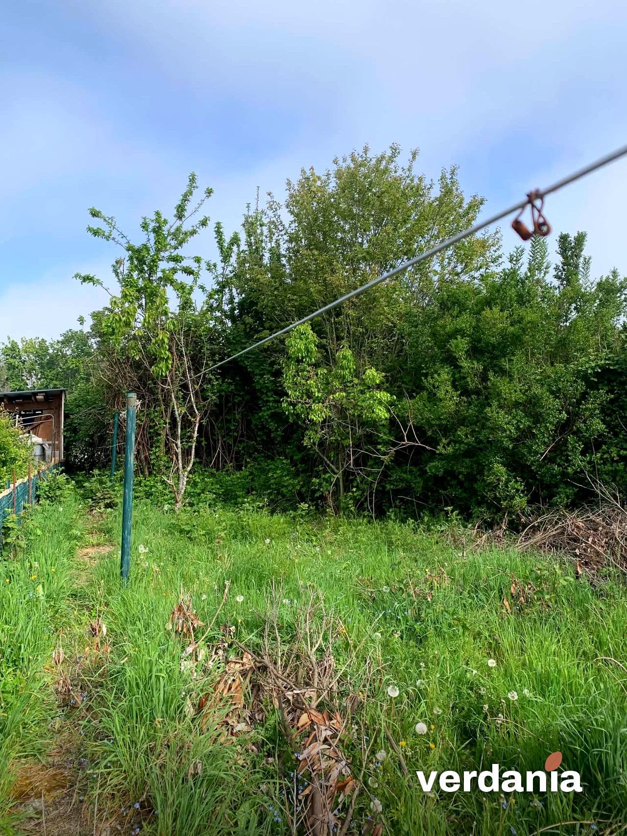 Pelouse à l'abandon avant remise en état — Région liégeoise