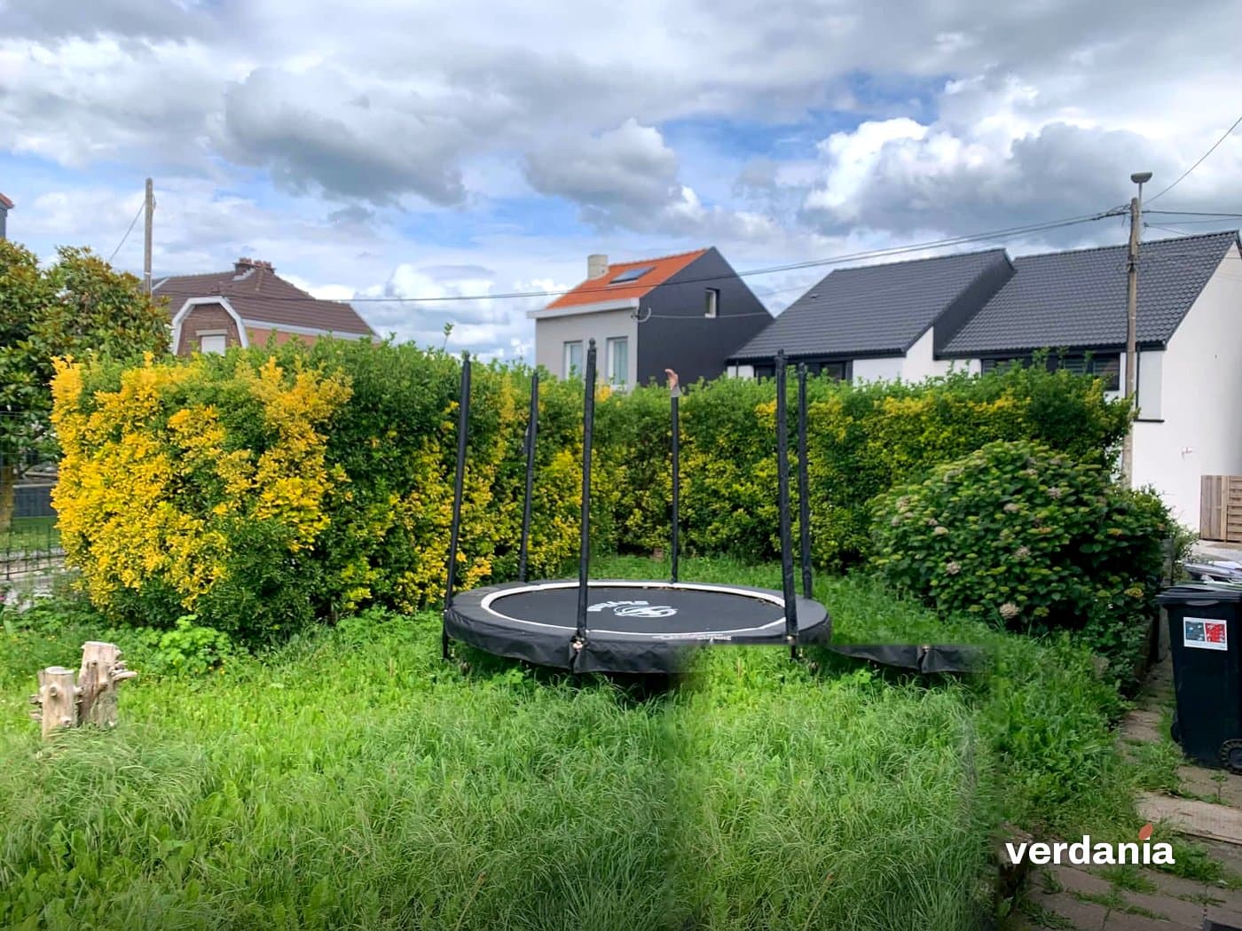 Jardin familial envahi avant débroussaillage — Région liégeoise