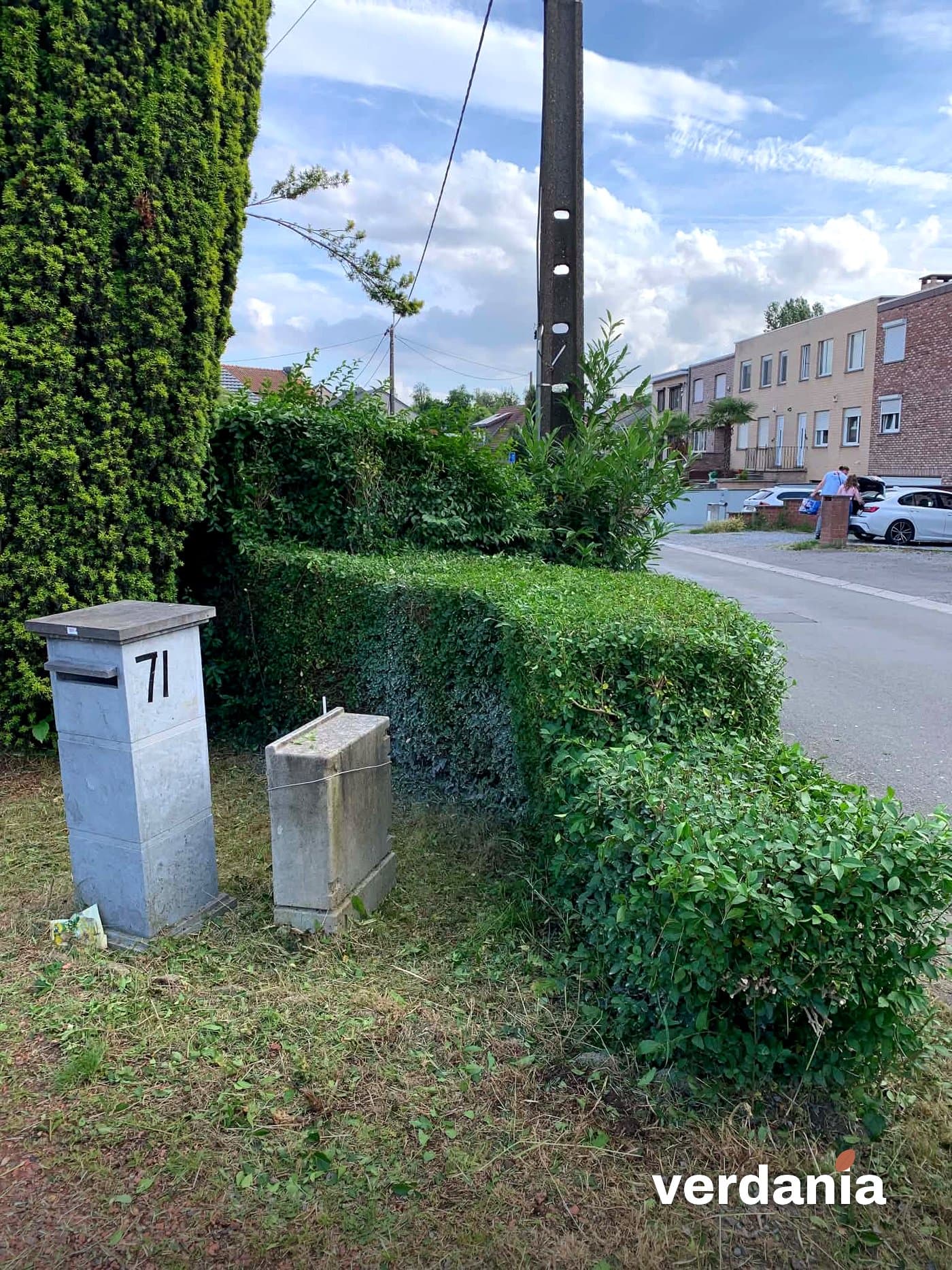 Haie d'entrée taillée et façade dégagée — Région liégeoise