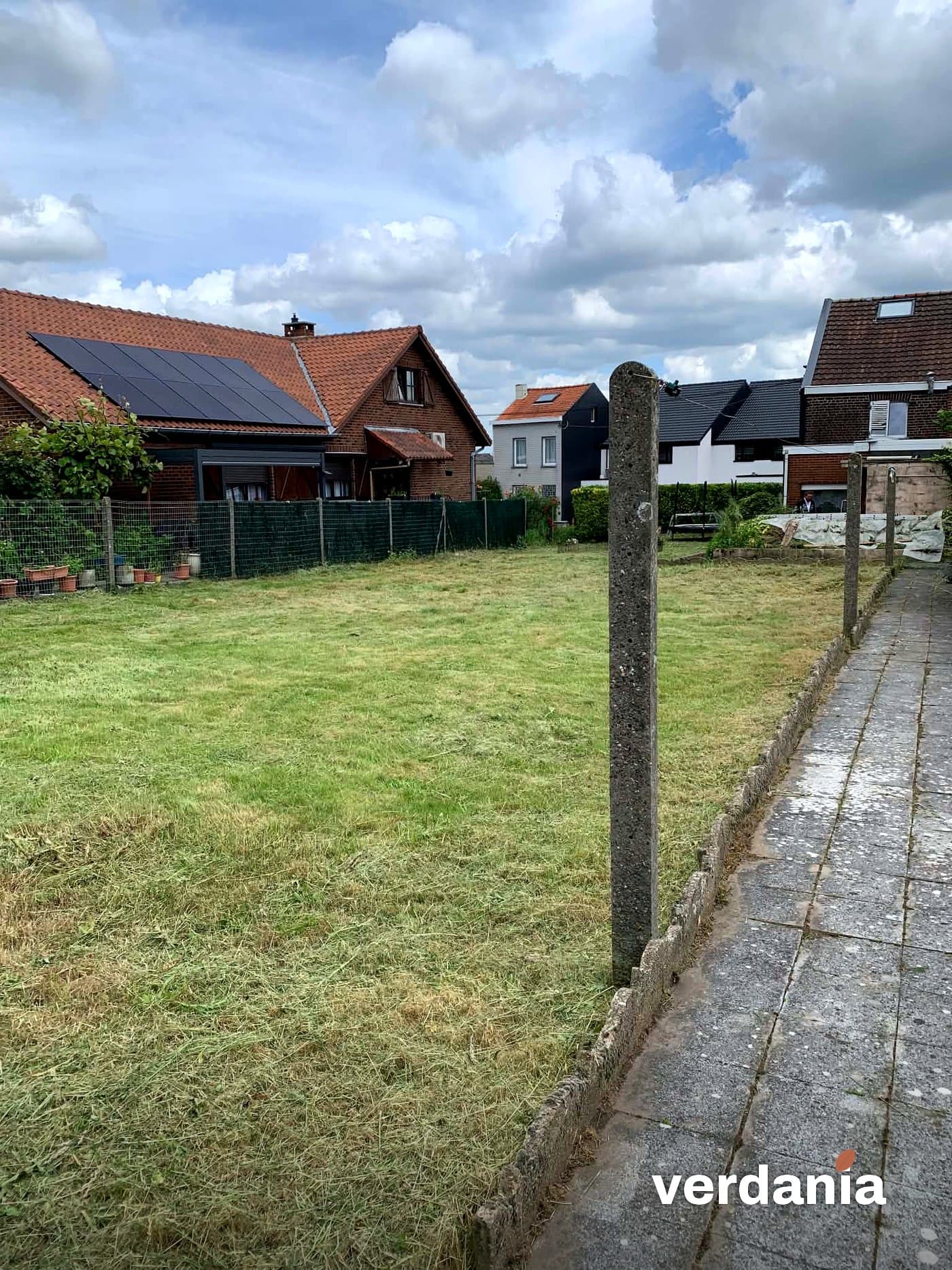 Pelouse nette créée après fauchage de la prairie — Région liégeoise